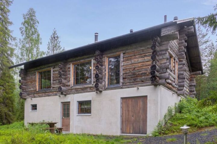 Muuttohaukka Kuusamo