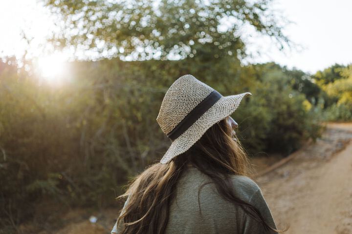 Safari