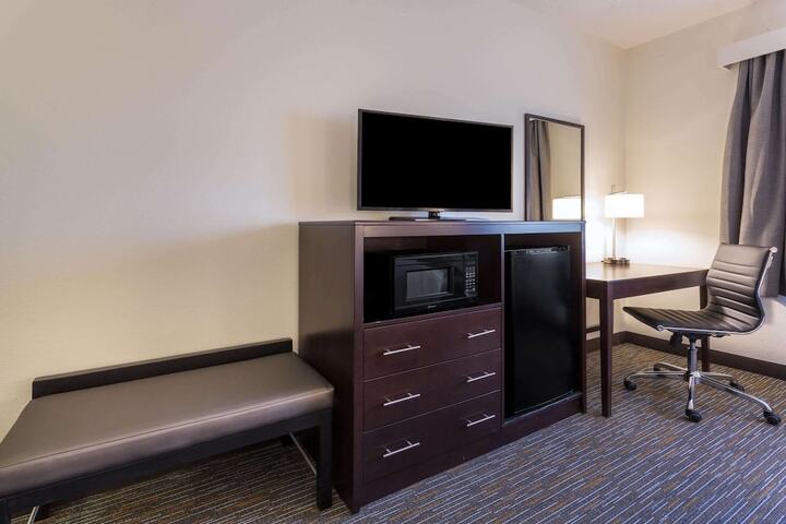 1 Queen Bed Accessible Room (12 of 18)