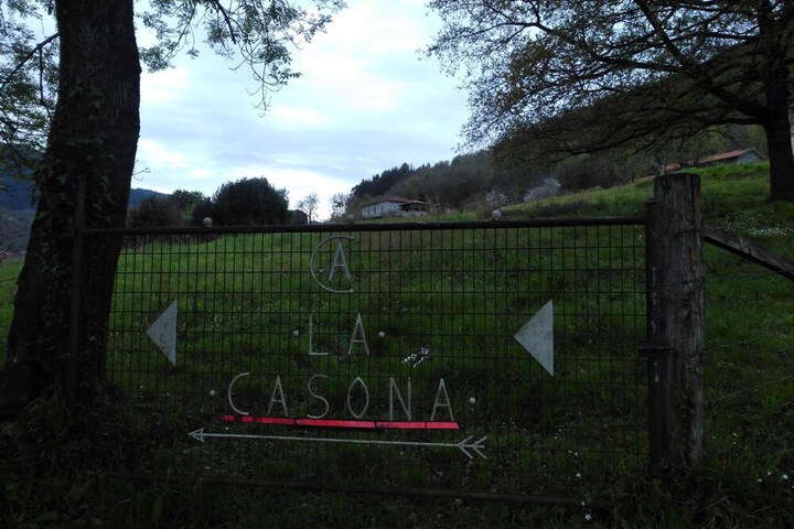 Property Grounds 49 of 62