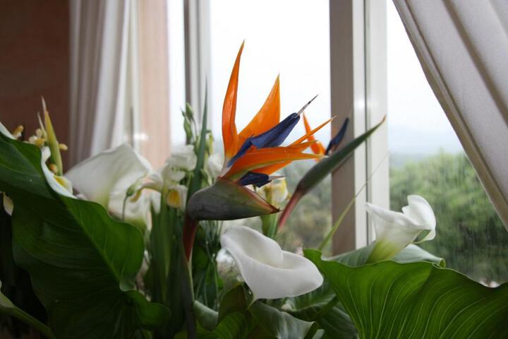 General 58 of 68