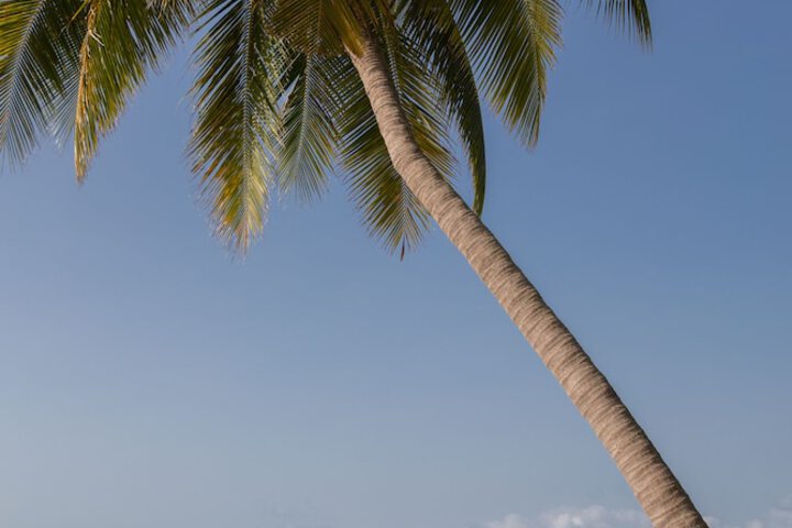 Beach 193 of 211