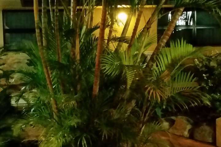 Hotel Exterior 44 of 51