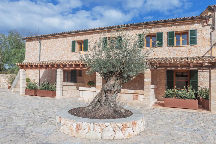 Terrace/Patio 49 of 54