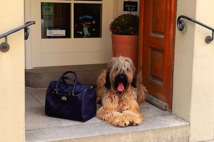 Pet Friendly 56 of 108