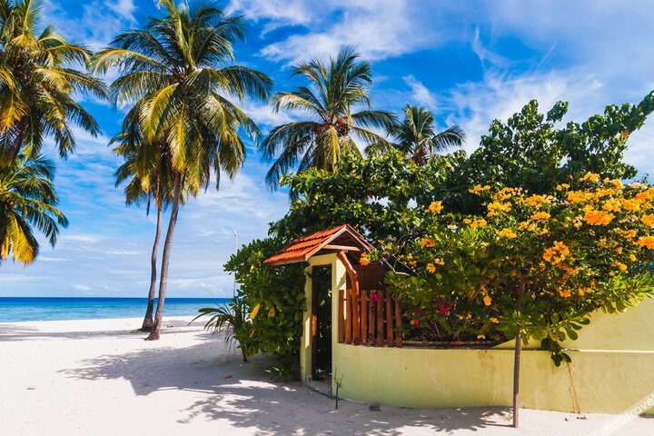 Spa and Wellness Pictures