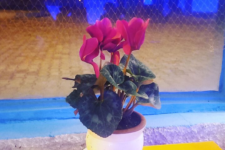 Wedding/Banquet 50 of 60