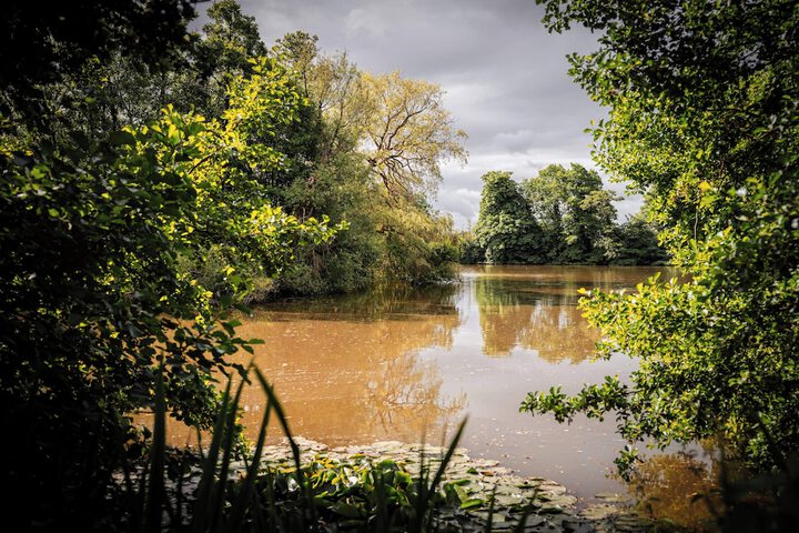 Lake