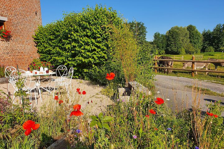 Land view from property