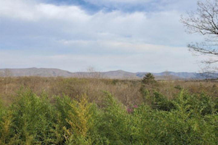 Property Grounds 34 of 50