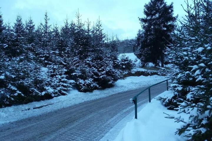 Property Grounds 53 of 59
