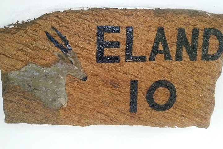 Room 14 of 110