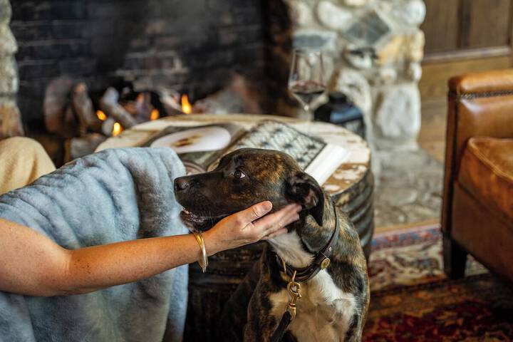 Pet Friendly 57 of 73