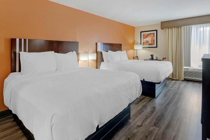 2 Queen Beds (12 of 24)