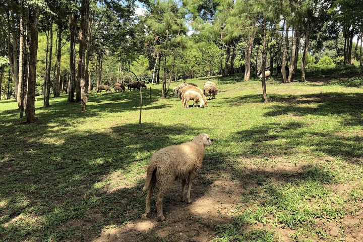 Hotel Exterior 61 of 70