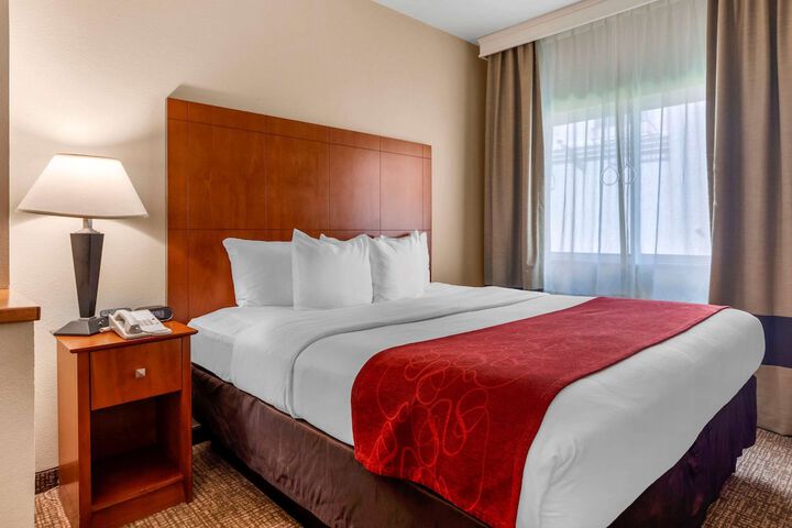 1 King Bed Suite (13 of 44)