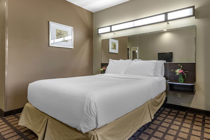 1 Queen Bed Mobility Hearing Impaired Accessible Room (6 of 14)