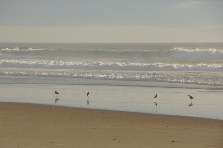 Beach 378 of 413