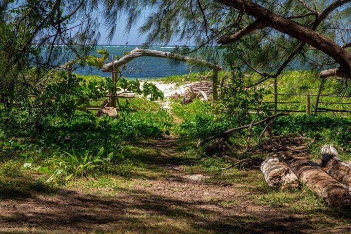 Property Grounds 27 of 52