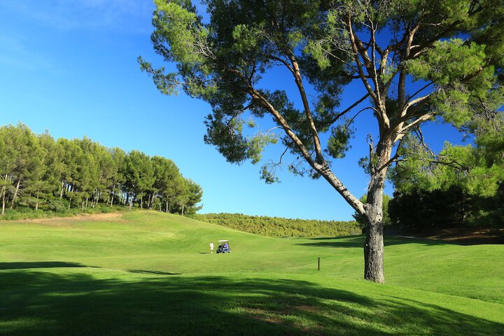 Golf 84 of 127