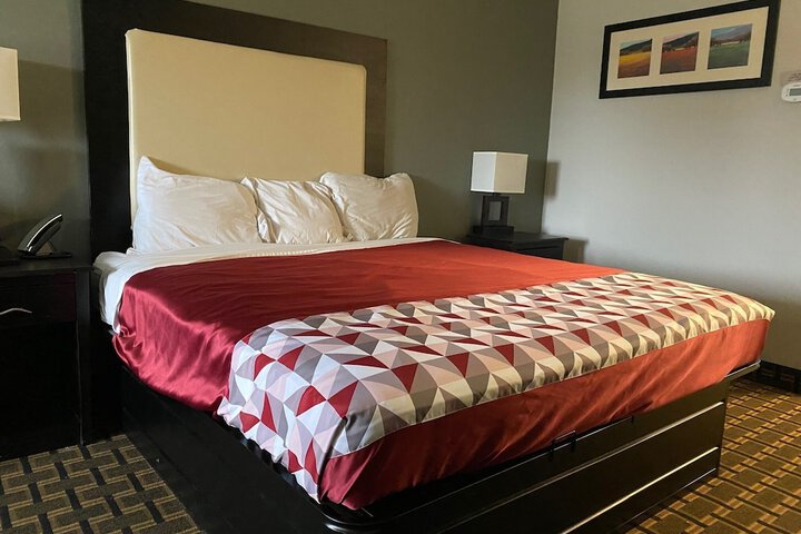 1 King Bed (2 of 4)