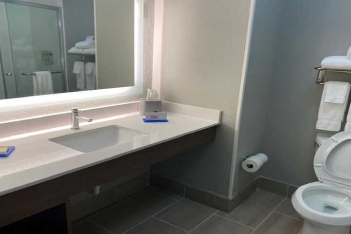 1 King Bed Standard Mobility Accessible Tub (8 of 15)