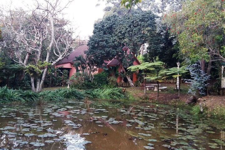Property Grounds 26 of 35