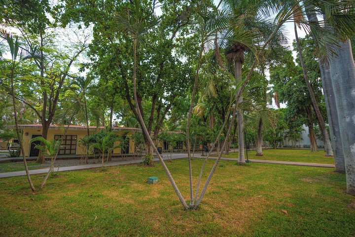 Property Grounds 134 of 179