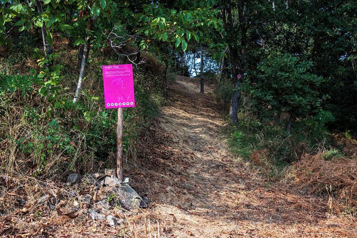 Hiking