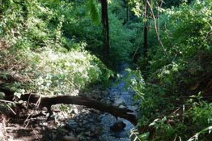 Property Grounds 55 of 63