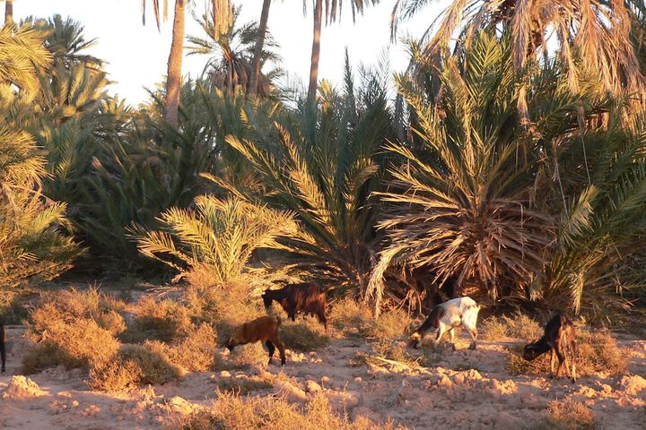 Hotel View 29 of 31
