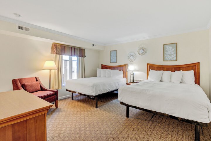 Traditional Suite 1 King Bed with Sofa Bed (23 of 23)