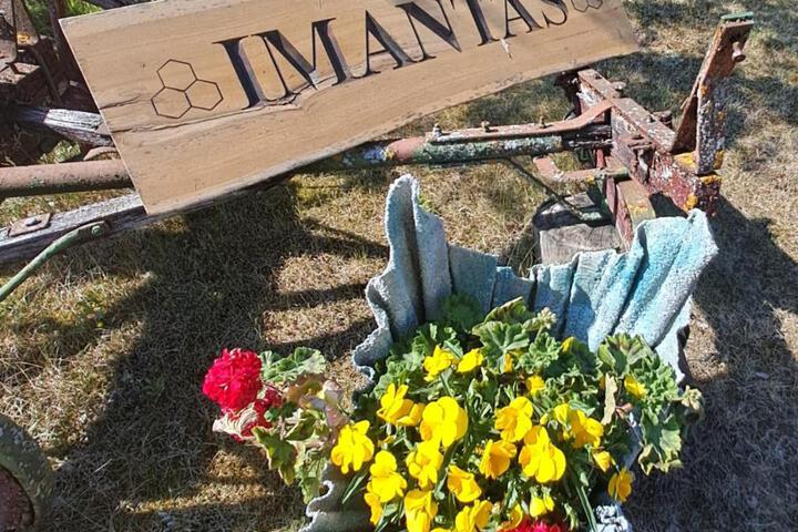Imantass