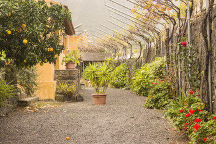Terrace/Patio 53 of 55