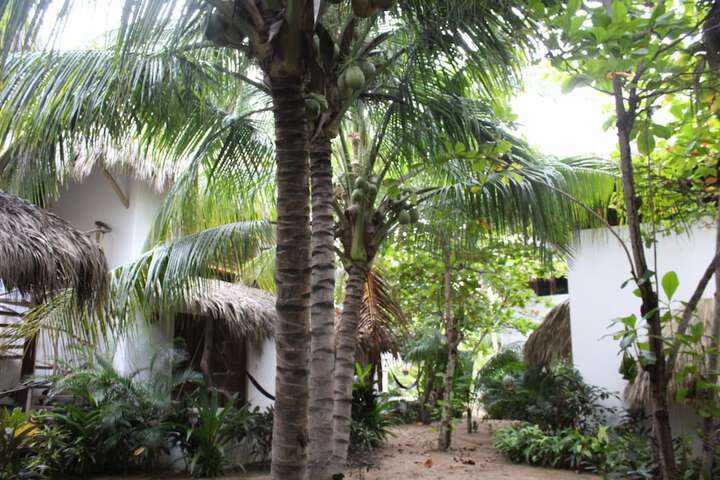 Property Grounds 45 of 72