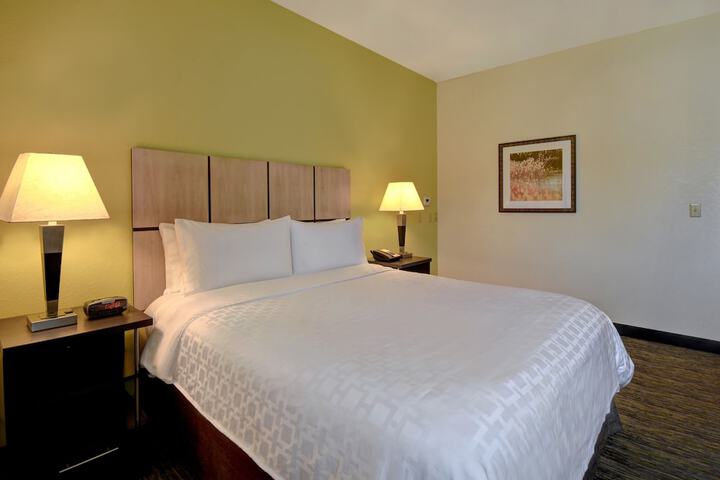 Studio Suite Queen Bed (1 of 32)