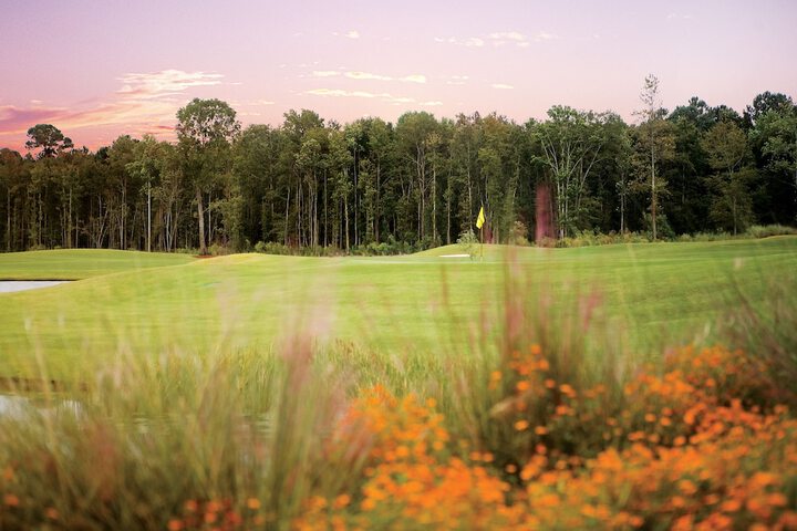 Golf 47 of 100