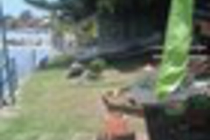 Property Grounds 29 of 36