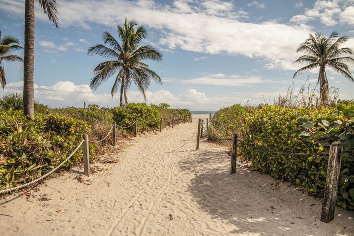 Beach 72 of 79
