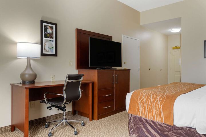 1 King Bed (4 of 14)