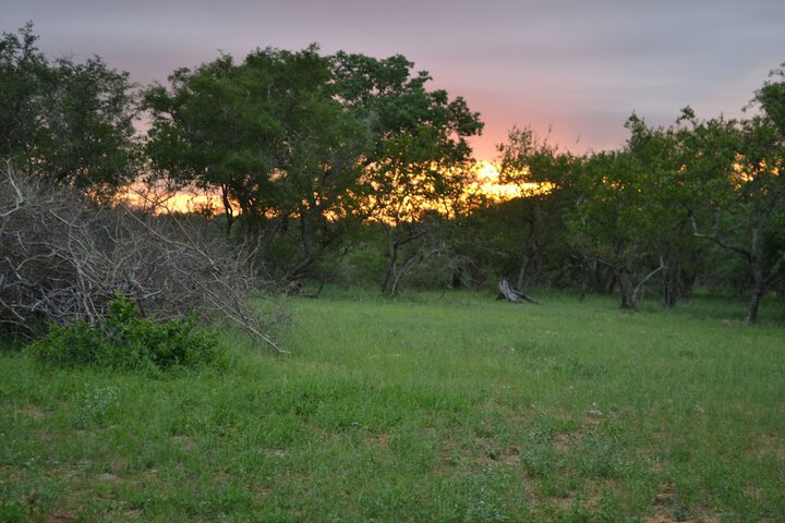 Property Grounds 55 of 72