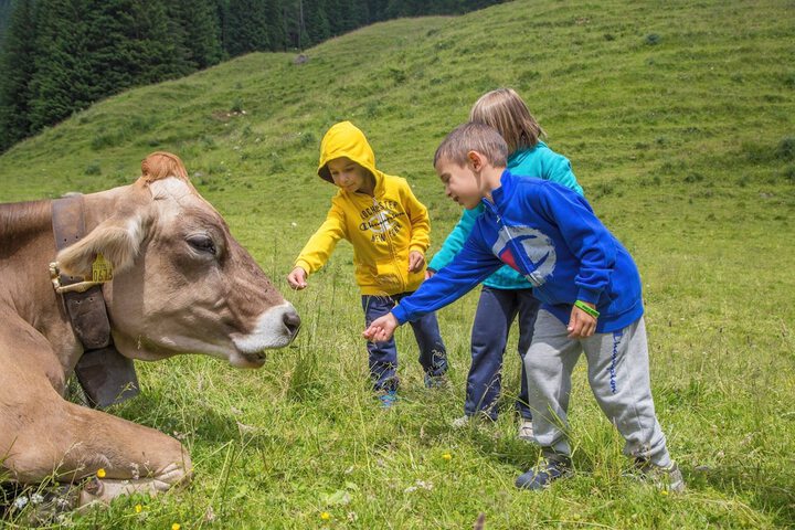 Childrens Activities 126 of 148