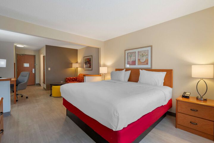 Standard | King Bed (14 of 16)