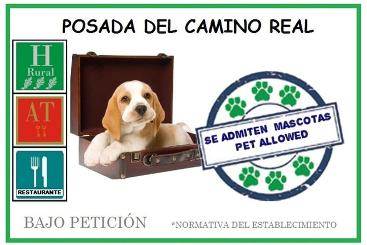 Pet Friendly 46 of 49