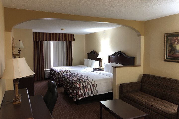 Standard Suite 1 King Bed with Sofa Bed (2 of 6)