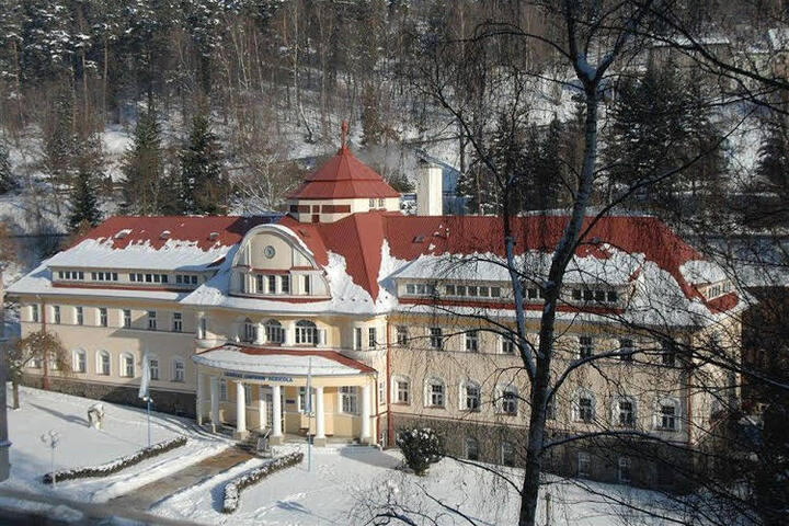 DEPENDENCY LUZICE