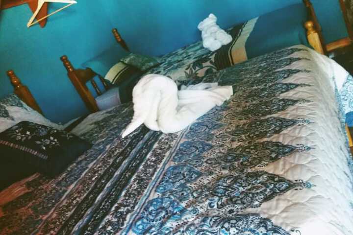 Room 11 of 38