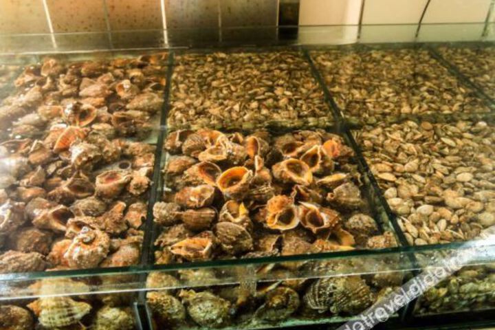 General 14 of 22