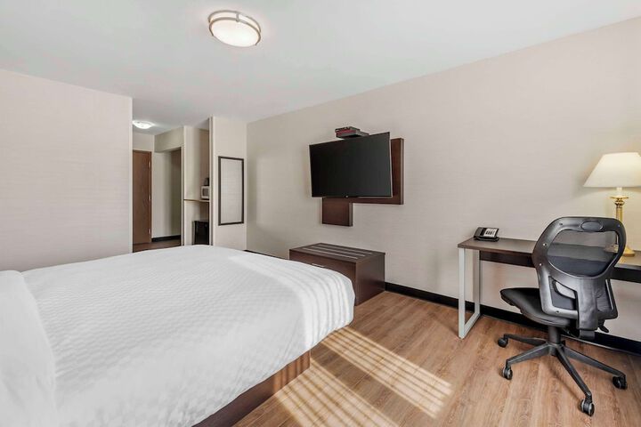 1 King Bed Accessible (8 of 12)
