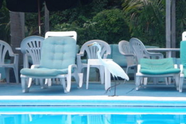 Pool 9 of 13